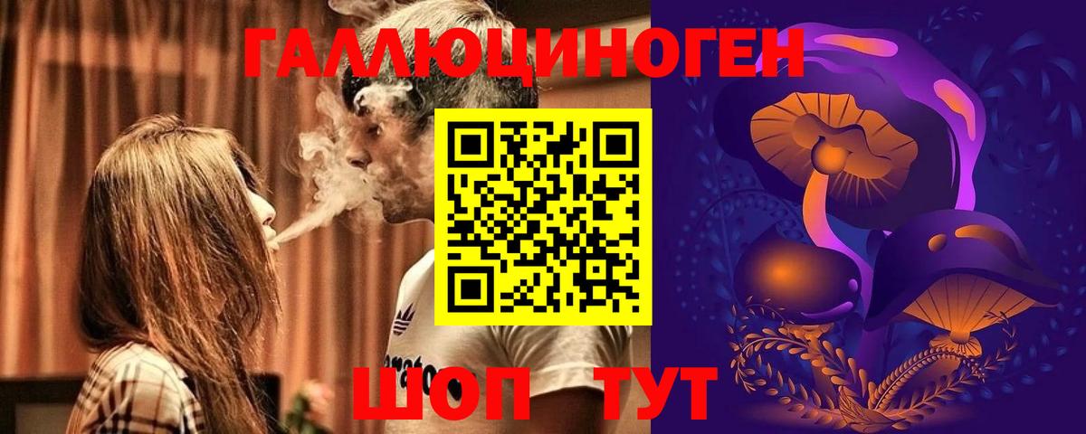 Саранск  Псилоцибиновые грибы Psilocybine cubensis  Вход с VPN  Галлюциногенные грибы Psilocybe 